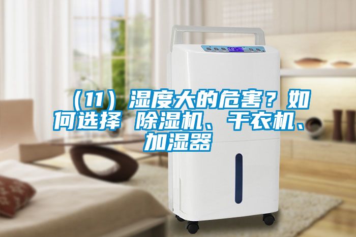 （11）湿度大的危害？如何选择 草莓视频APP在线观看、干衣机、加湿器