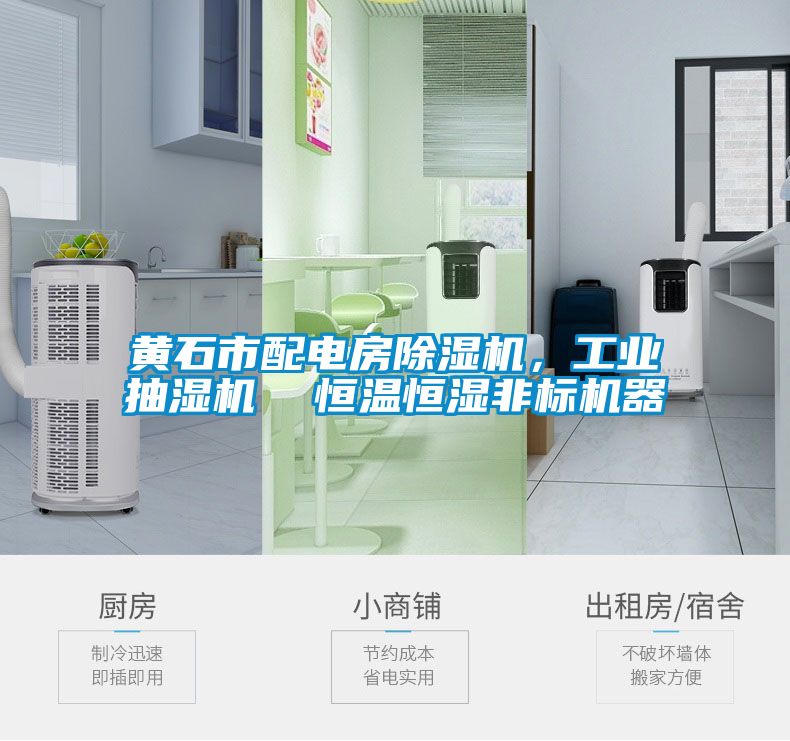 黄石市配电房草莓视频APP在线观看，工业抽湿机  恒温恒湿非标机器