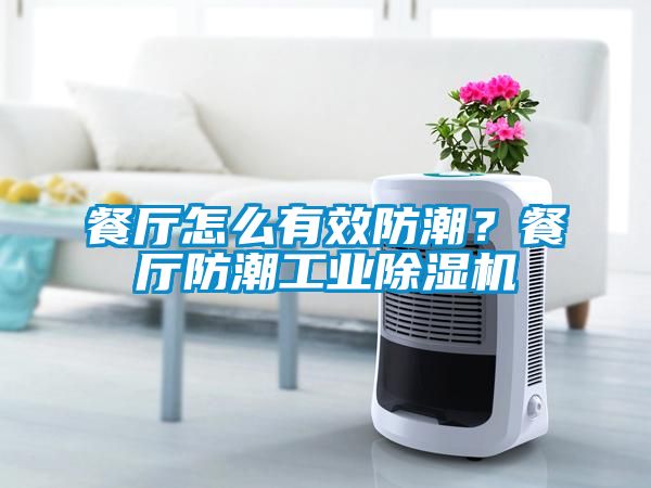 餐厅怎么有效防潮？餐厅防潮工业草莓视频APP在线观看