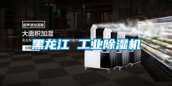 黑龙江 工业草莓视频APP在线观看