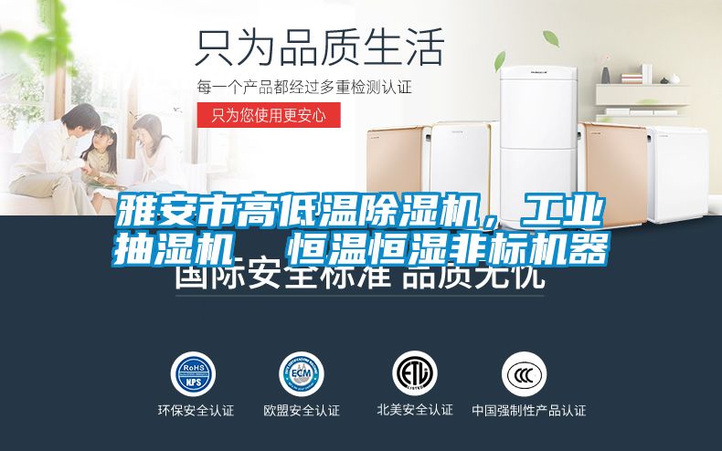 雅安市高低温草莓视频APP在线观看，工业抽湿机  恒温恒湿非标机器