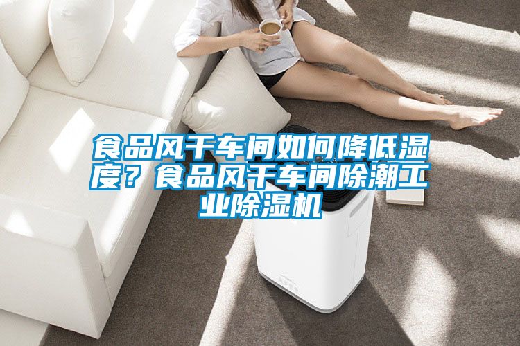 食品风干车间如何降低湿度？食品风干车间除潮工业草莓视频APP在线观看