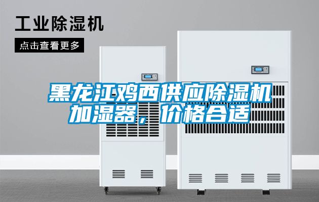 黑龙江鸡西供应草莓视频APP在线观看加湿器，价格合适