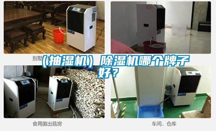 （抽湿机）草莓视频APP在线观看哪个牌子好？
