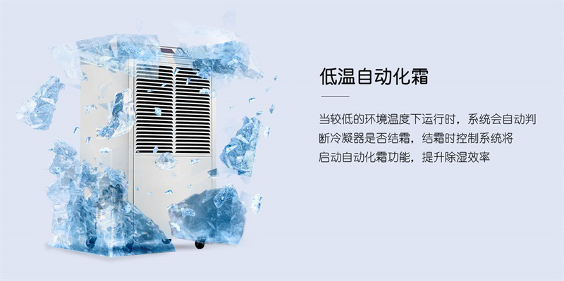 商用草莓视频APP在线观看6
